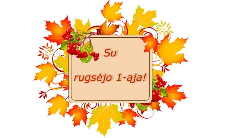 Kaišiadorių šventosios Faustinos ugdymo centras 56